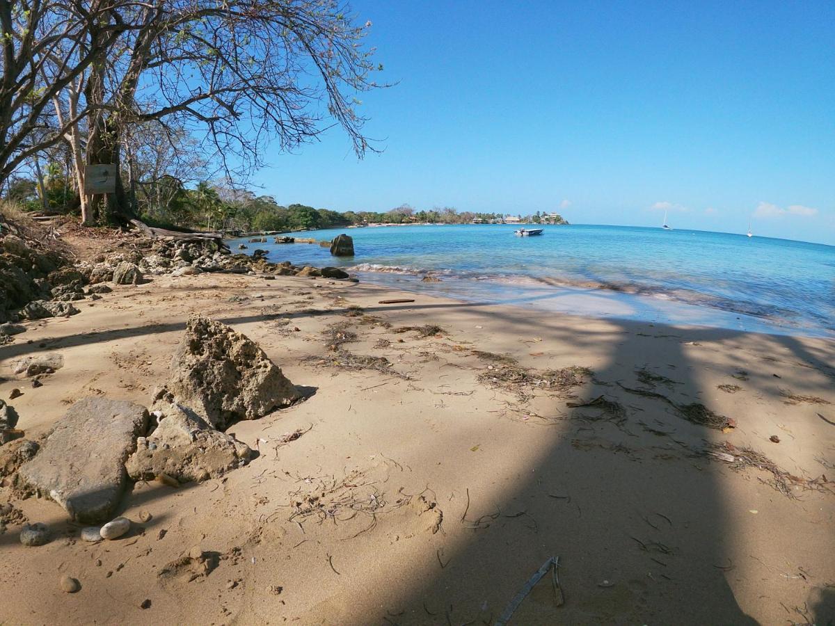 Private Beach House Maloka Surf Puerto Limon Exterior foto